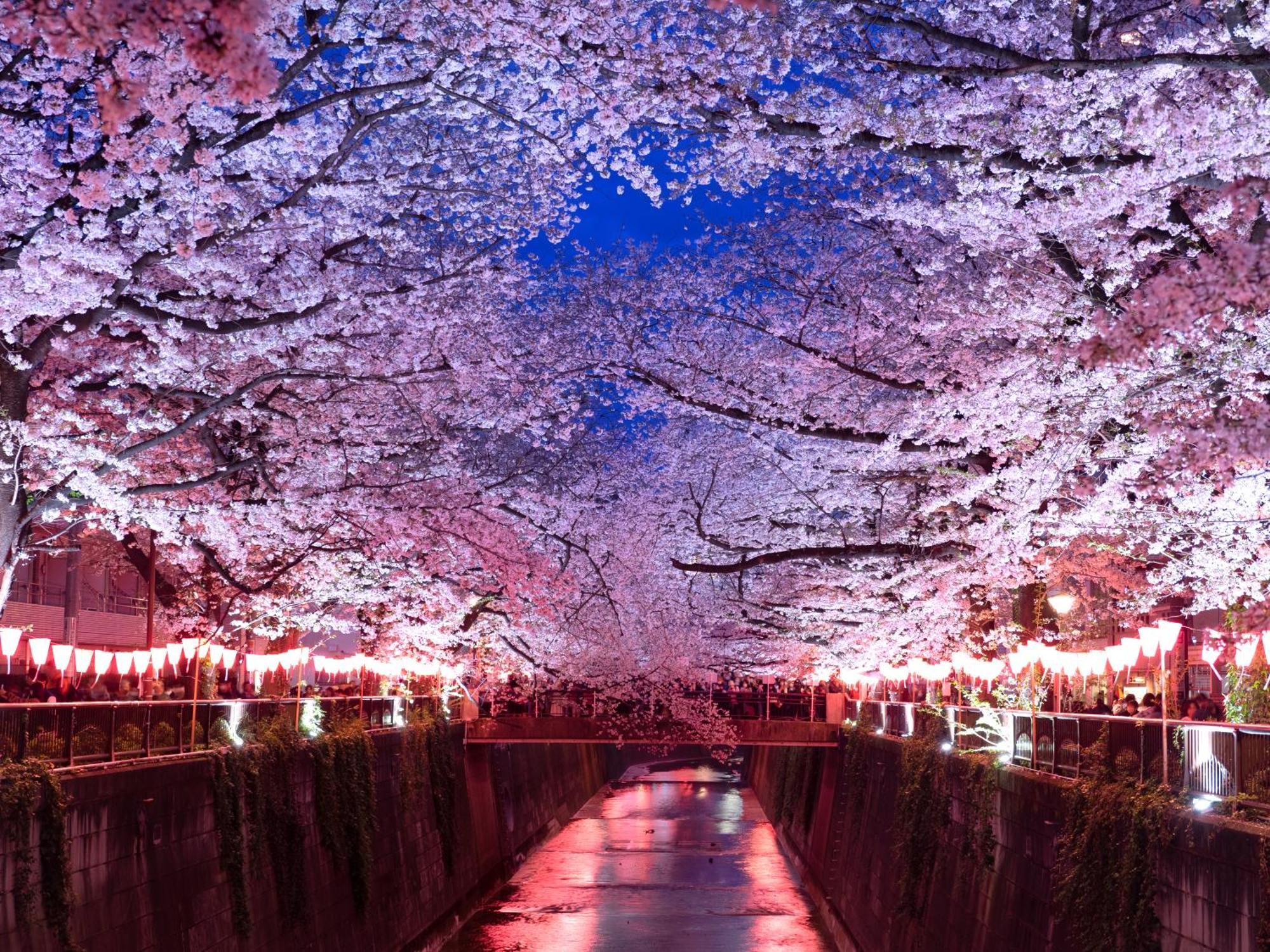 The Westin Tokyo Hotel Exterior foto