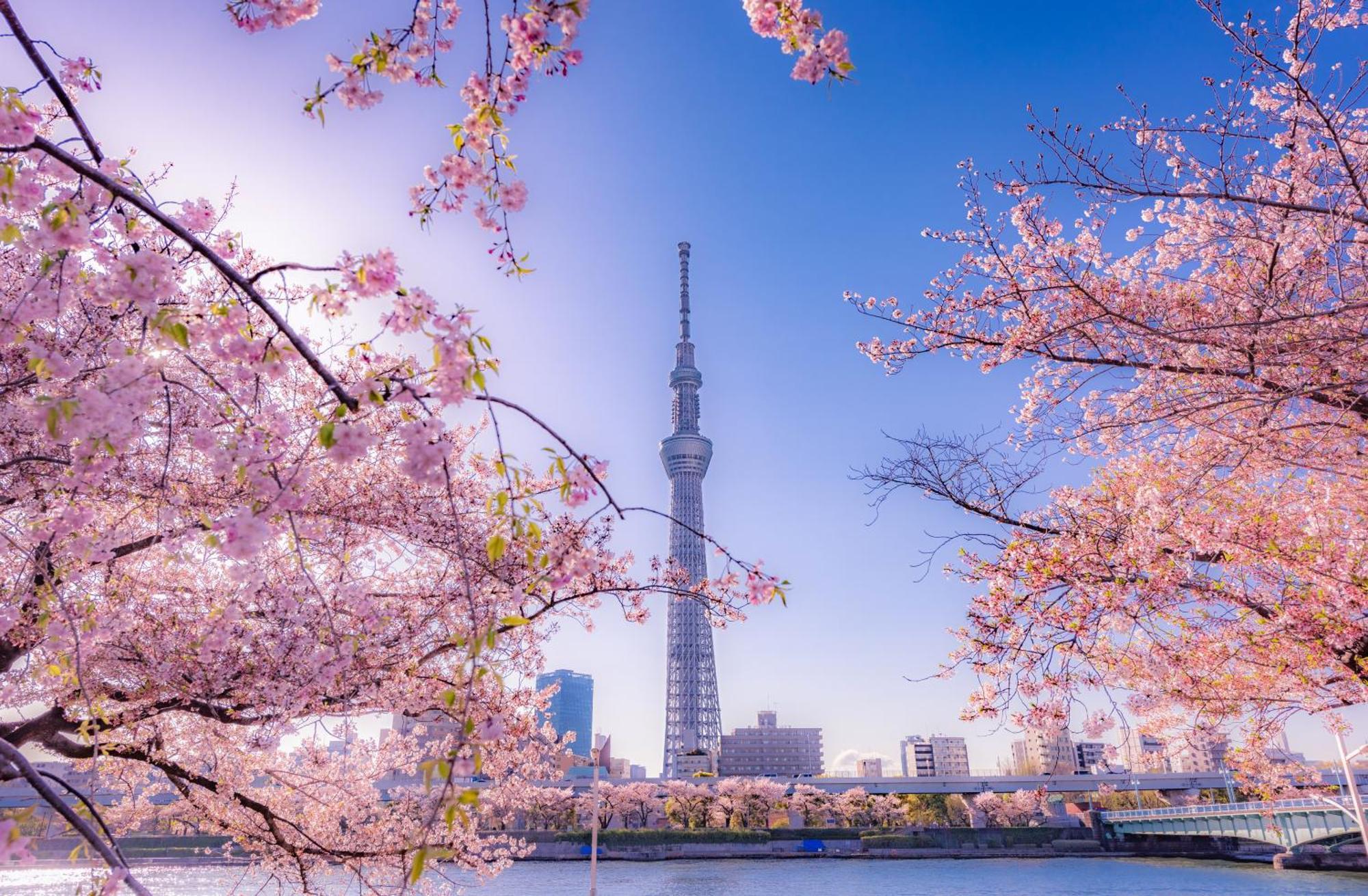 The Westin Tokyo Hotel Exterior foto