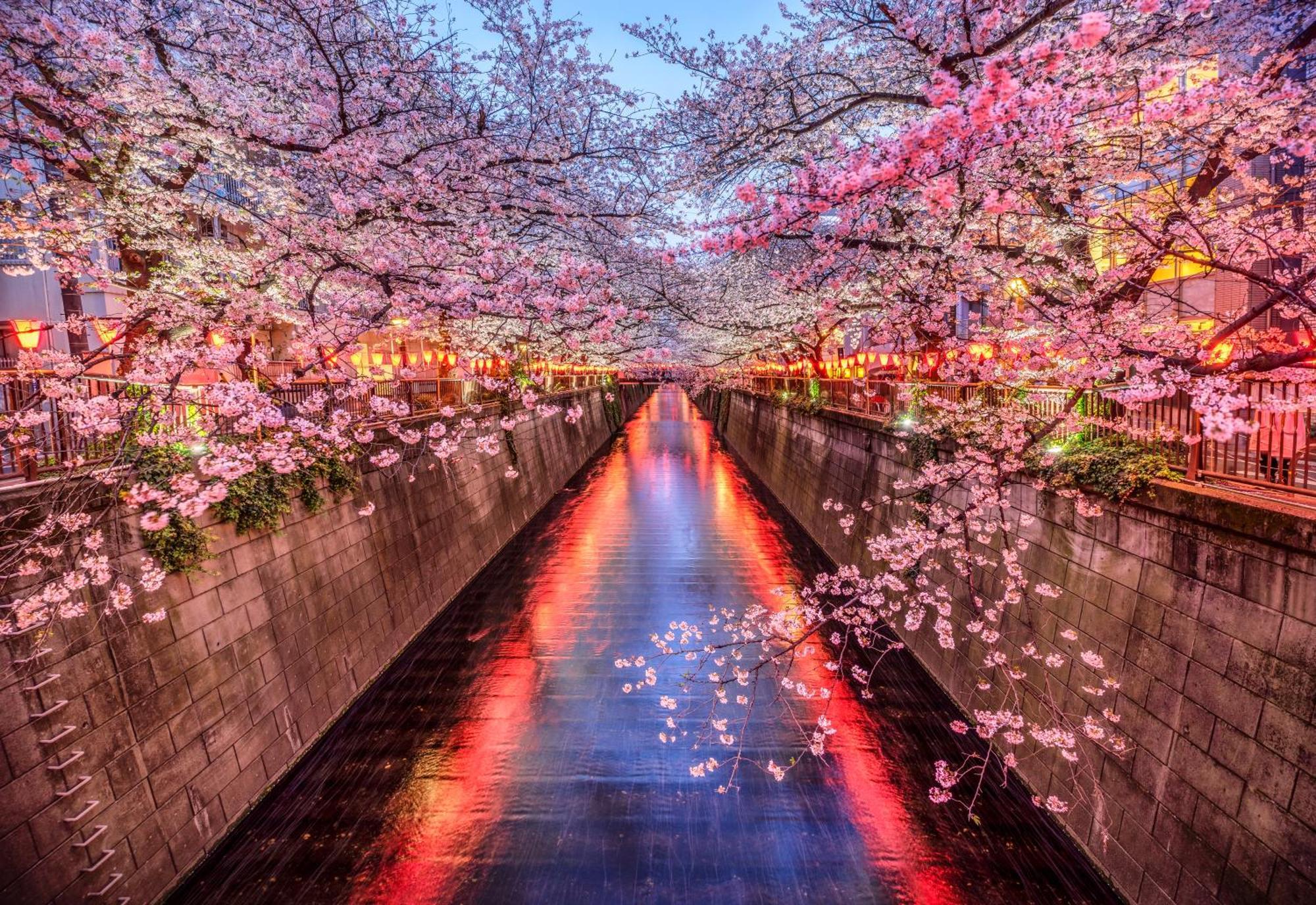 The Westin Tokyo Hotel Exterior foto